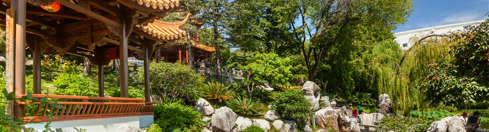 Chinese garden of friendship sydney