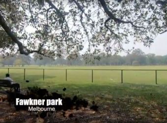 Fawkner park Melbourne