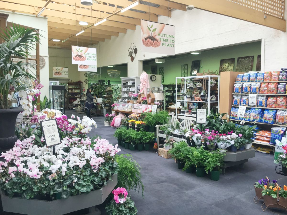 best plant nurseries melbourne | wholesale & retail nursery