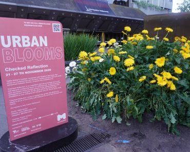 Urban Blooms Melbourne