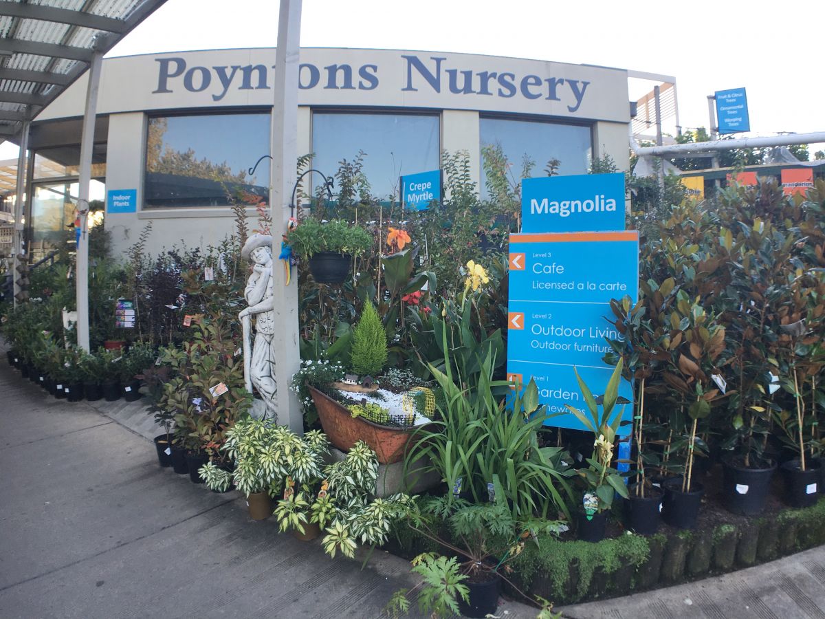 Poyntons Nursery Essendon Plant Garden Supplies