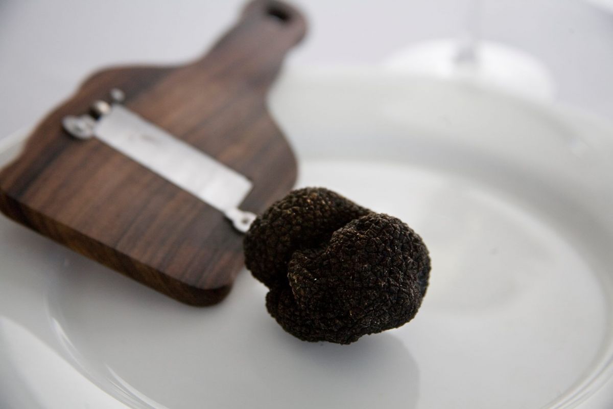 the canberra truffle festival